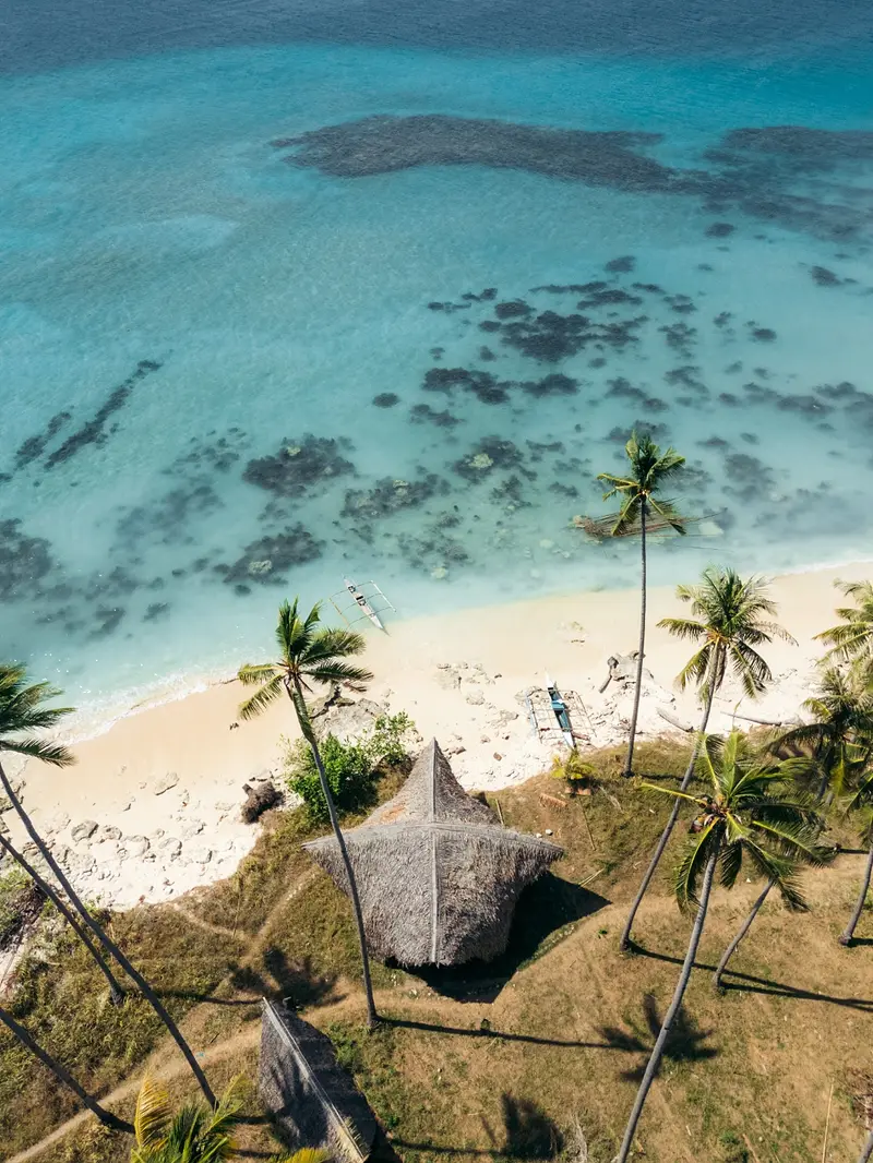 Aerial of an expedition bangka cruising past a palm-fringed reef in Palawan
